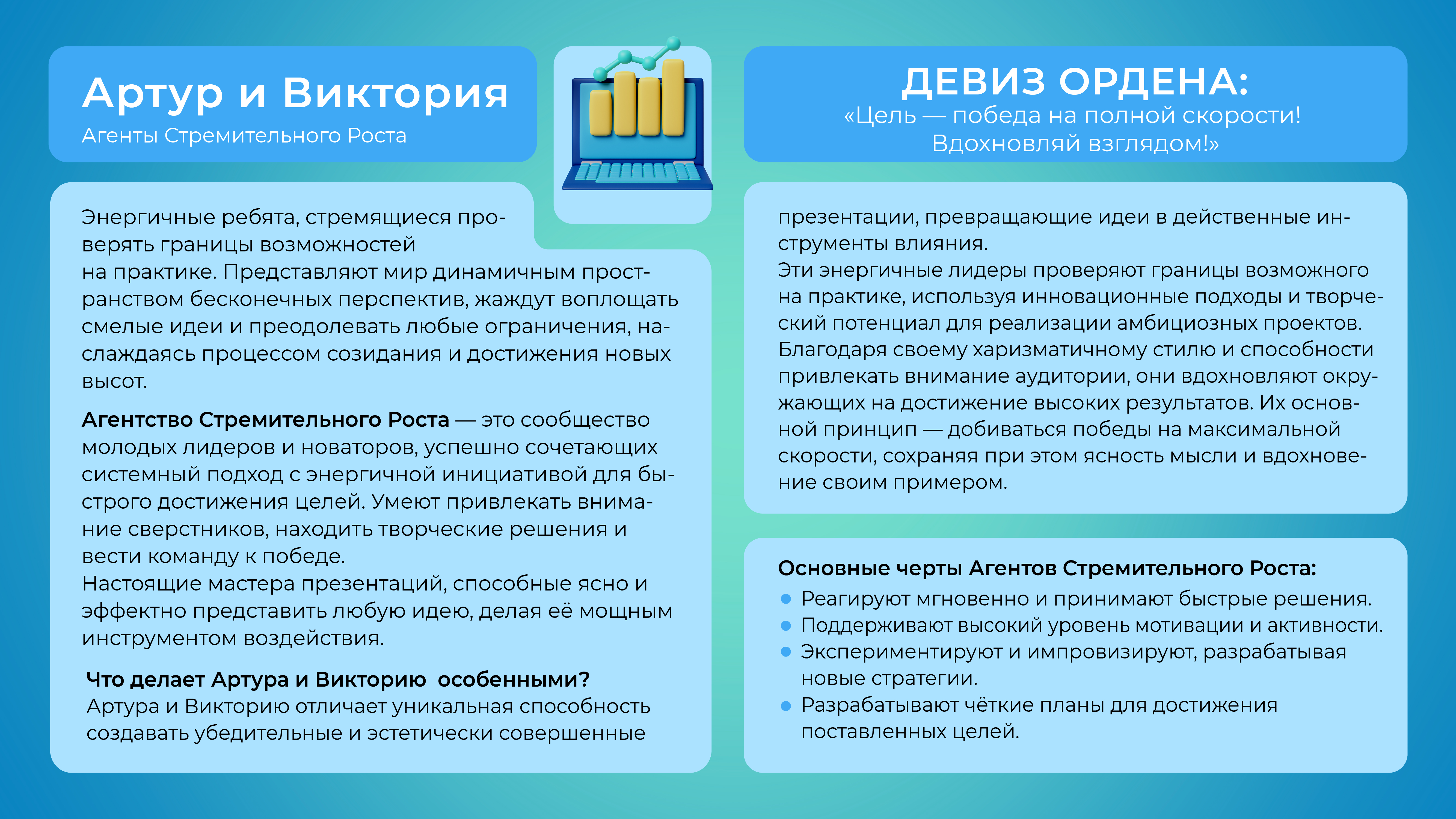 Художественное описание